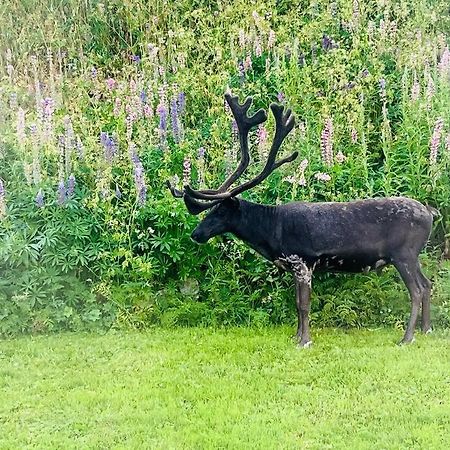 Leilighet I Nord Tromsø Kültér fotó