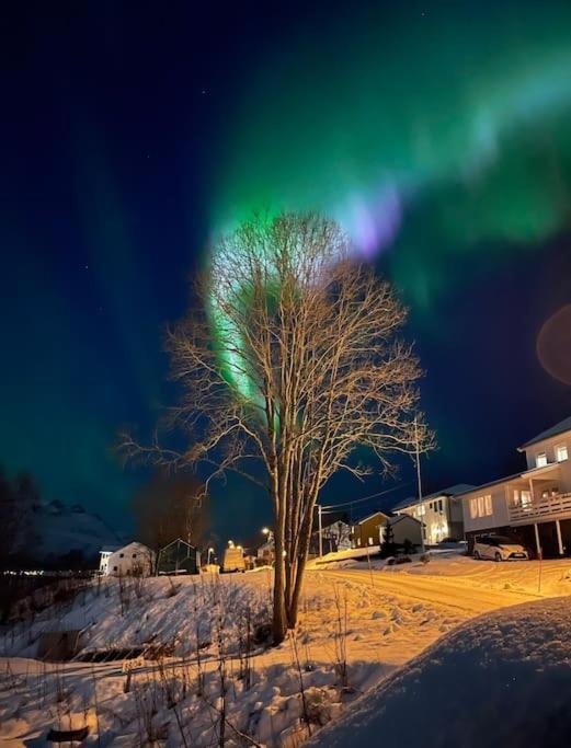 Leilighet I Nord Tromsø Kültér fotó
